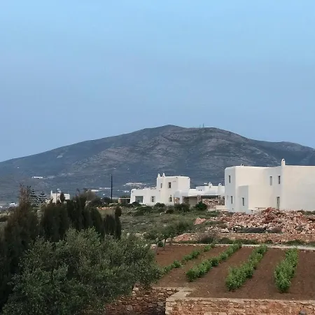 Holiday home Seaside With Hot Tub, Vineyard, Shared Pool And View Parikia (Paros)